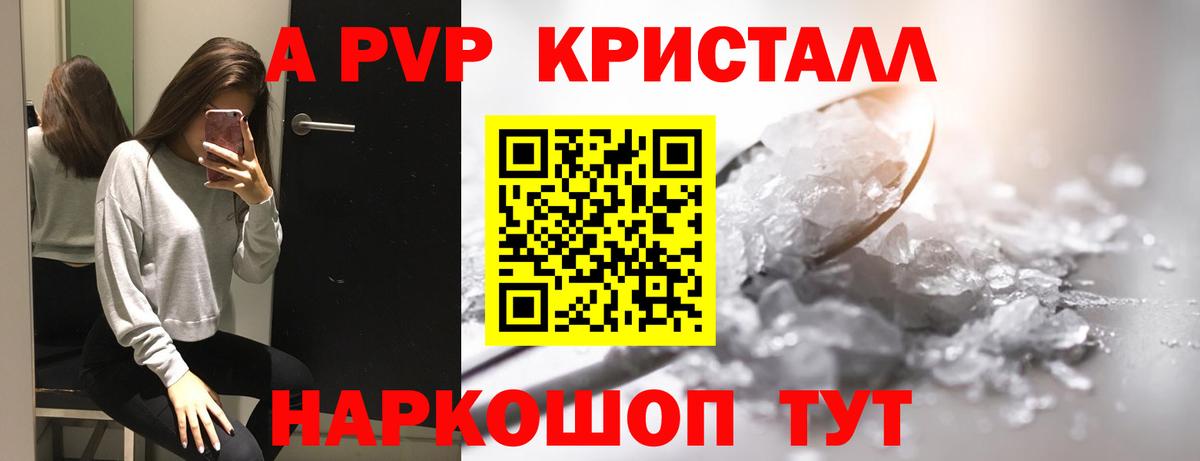 APVP СК Выборг